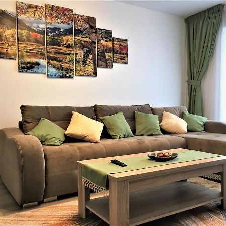 Apartament Mountain View Escape Braszów Zewnętrze zdjęcie