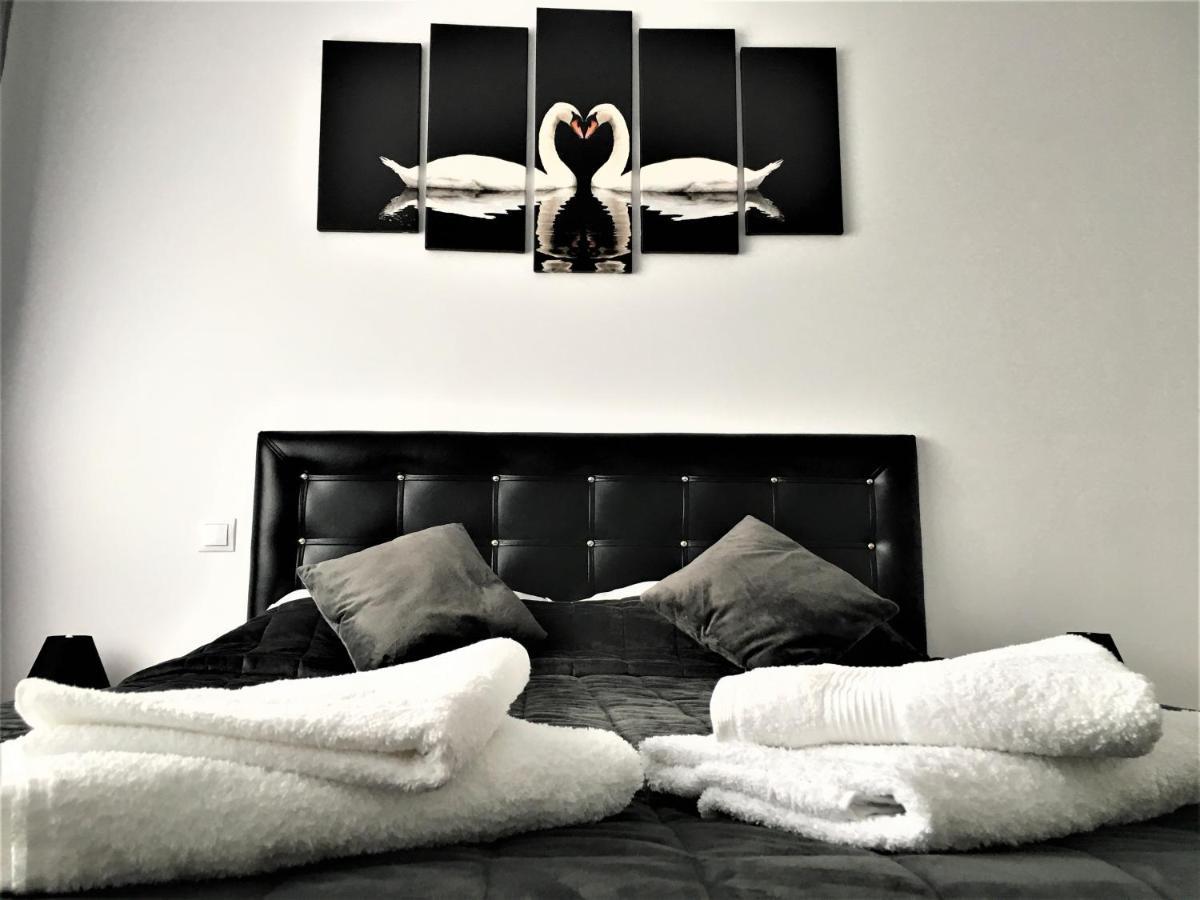 Apartament Mountain View Escape Braszów Zewnętrze zdjęcie