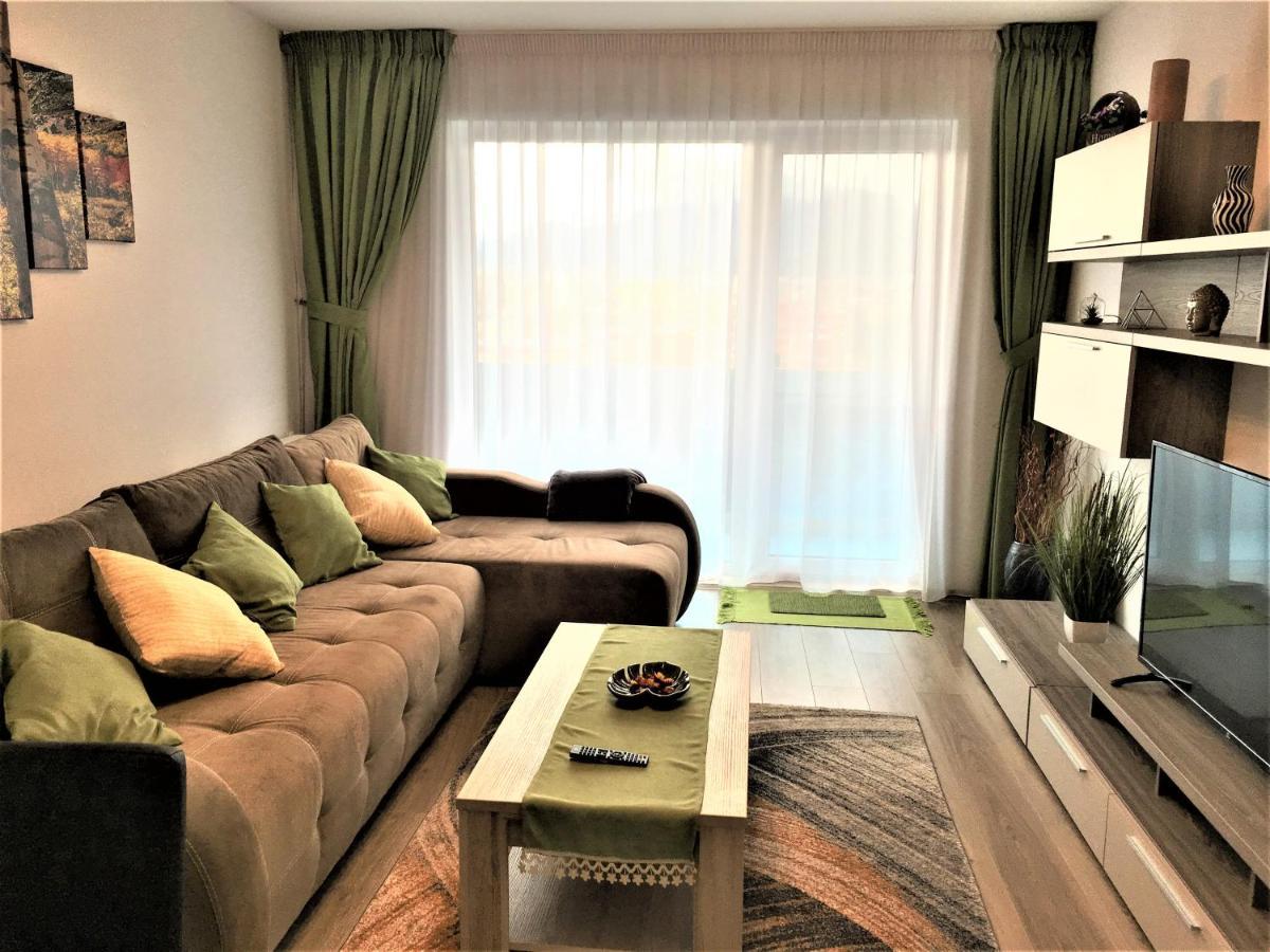 Apartament Mountain View Escape Braszów Zewnętrze zdjęcie