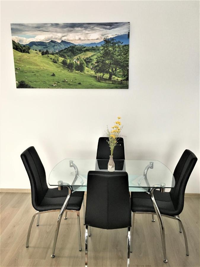 Apartament Mountain View Escape Braszów Zewnętrze zdjęcie